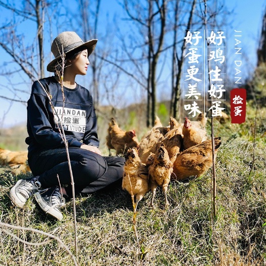 太原土鸡蛋 散养彩虹蛋谷物喂养无腥味自然香