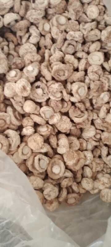 平泉市双孢菇  双孢蘑菇口磨小白菇干品