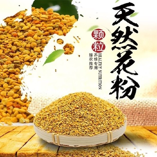  2020青海油菜杂粉喂蜂花粉喂蜂蜂粮饲喂中意蜂花粉颗粒