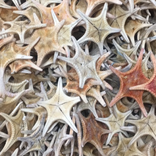 玉林海星 汤料提鲜咳痰