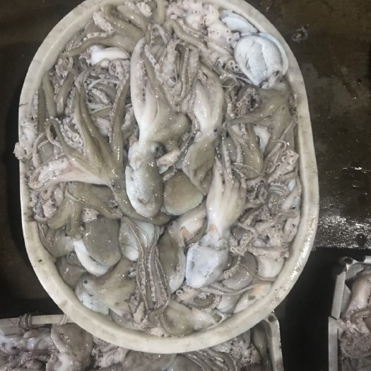 温岭市章鱼  岩章老粗皮300g-400g
