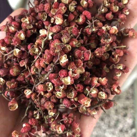 蒲城县麻椒 一级 干花椒