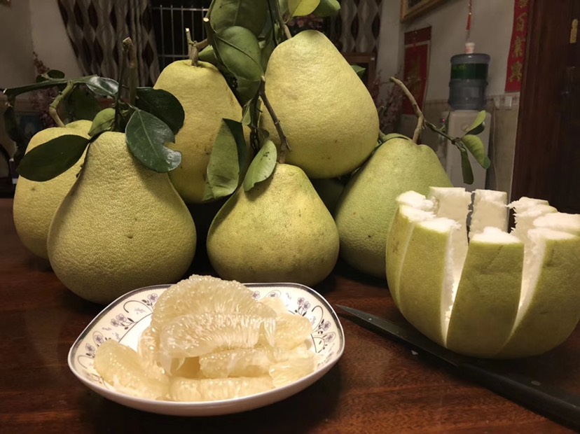 东实早  东试早（傣王柚）