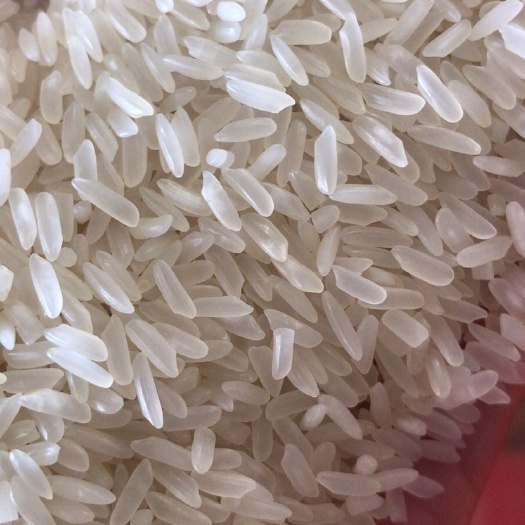 东莞市油粘米厂家直销工厂专用米、饭堂专用米、学校、餐饮都适用