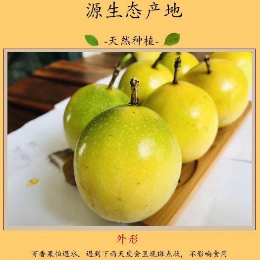 高州市黄金百香果 新鲜现摘水果，高山种植
