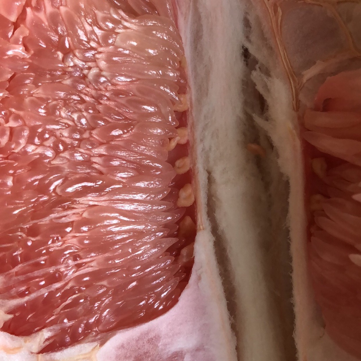 红心柚 福建省漳州市平和县