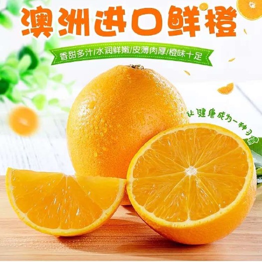 嘉兴澳洲脐橙 统货