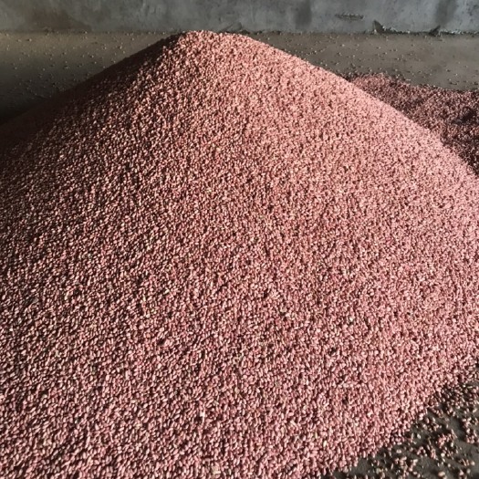 周口油料花生米 干货 花生米