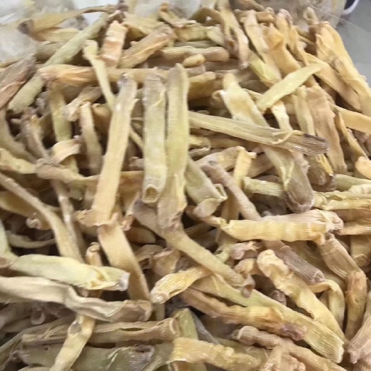 深圳干沙虫 超大沙虫干 618一斤包邮 欢迎下单预订