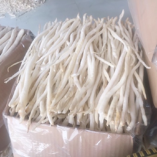 阆中市南沙参