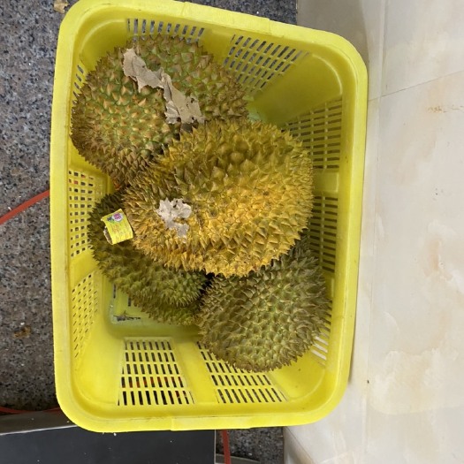 东兴市 泰国金枕榴莲