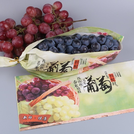 瓦房店市 大连瓦房店市自家夏黑葡萄三十多年产地