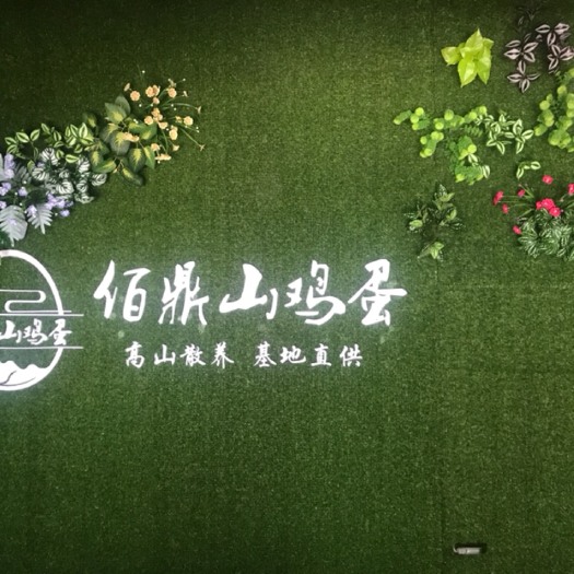 郑州土鸡蛋 食用 简包装