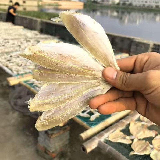 北海北海红三鱼干咸鱼干地摊跑量小鱼干
