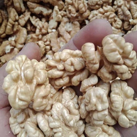 盐源县 干货核桃 核桃仁批发 榨油 烘培 糕点 需要的老板联系 量大