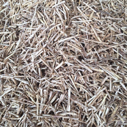 长期供应｛白茅根｝可批量可零售量大从优【包邮】