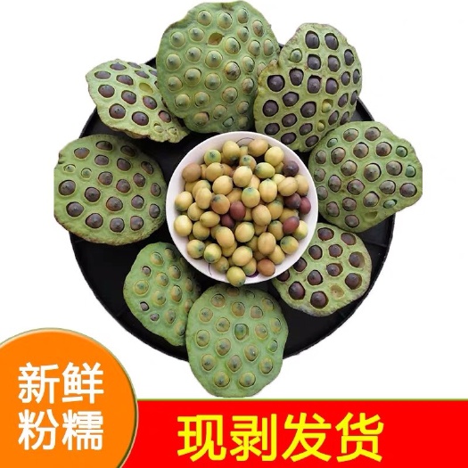 祁阳市 新鲜采摘湖南湘莲花莲子老莲子