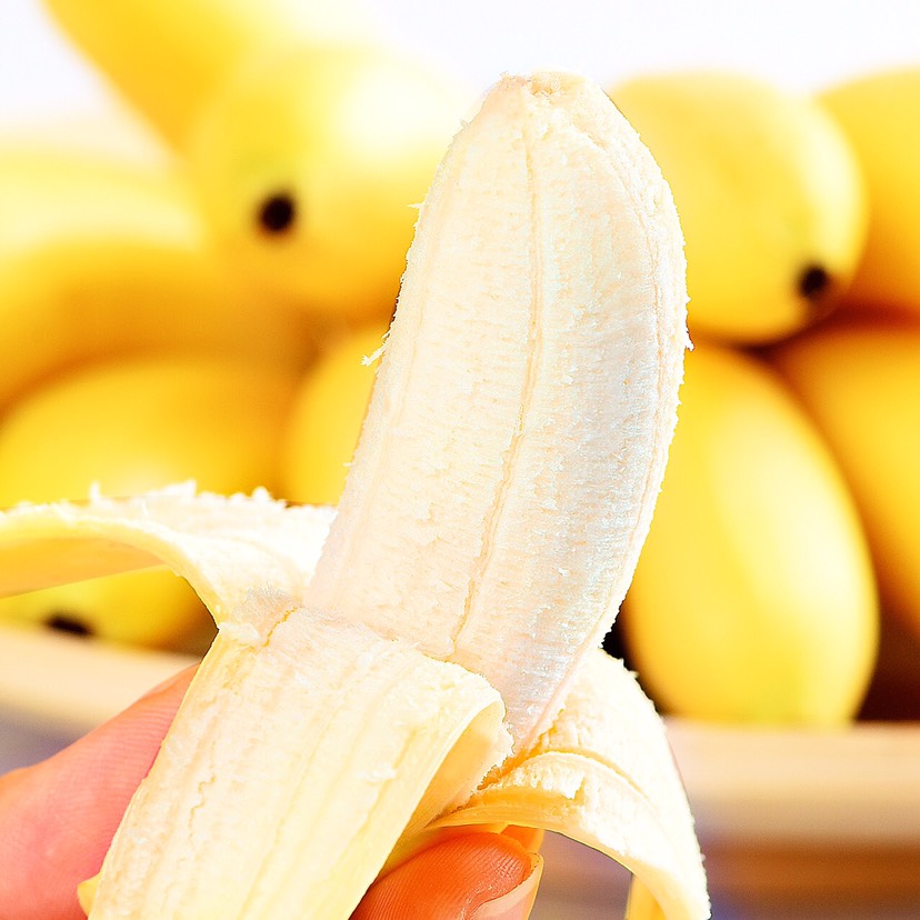 南宁广西小米蕉 皇帝蕉 新鲜香蕉 新鲜水果现砍现发原产地直供