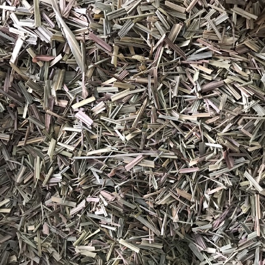 玉林香茅 香茅草