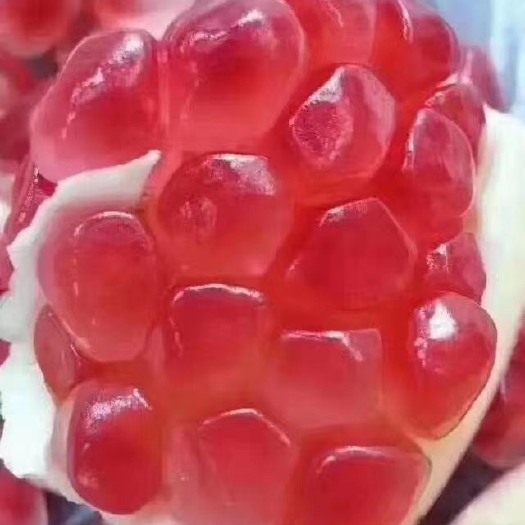 蒙自市 蒙自石榴，主营酸石榴，甜石榴