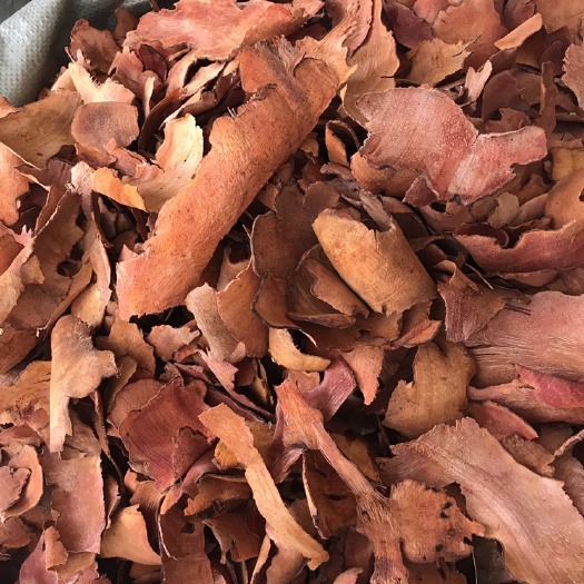 玉林土茯苓