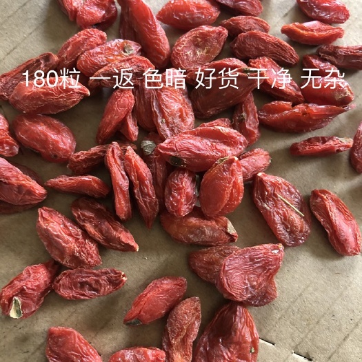 瓜州县 红枸杞 一返 180粒 大颗粒 产地直发