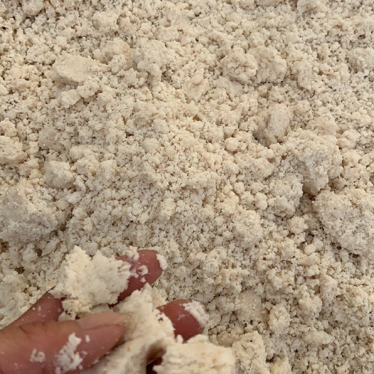 桂平市糟渣饲料 发酵豆渣，分离机豆渣，水豆渣