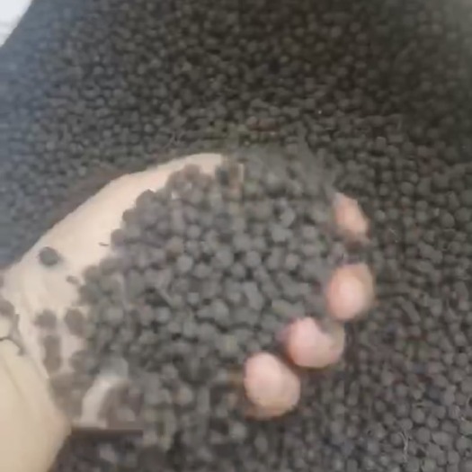 临沧山胡椒