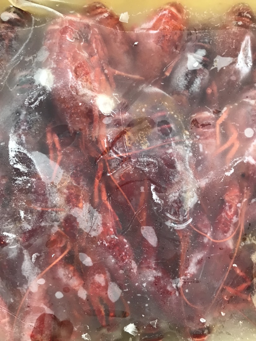 清水小龙虾 肉质饱满。