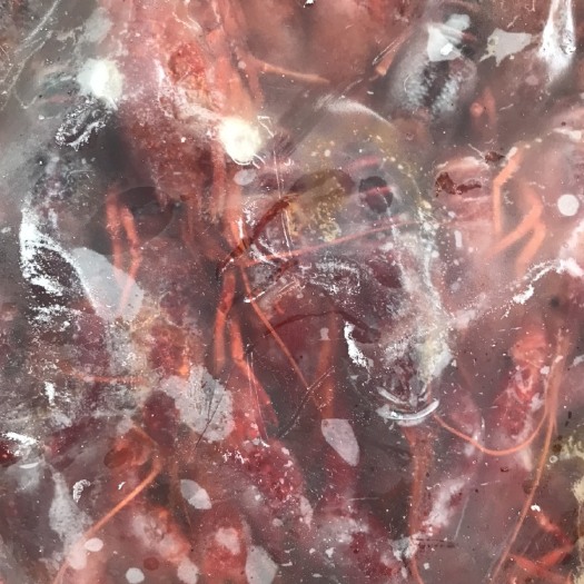 潜江市清水小龙虾 肉质饱满。