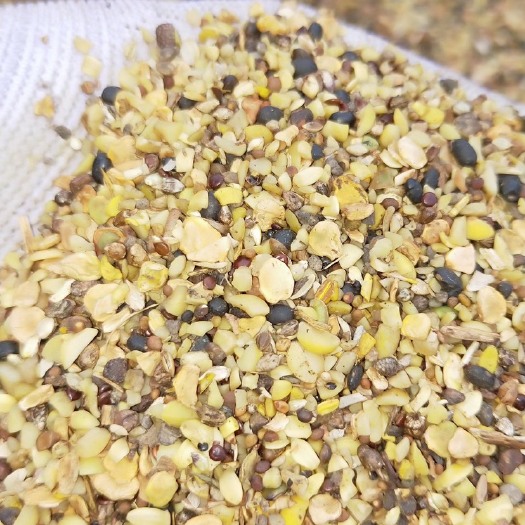 利津县豆饼饲料  熟化全脂豆饼