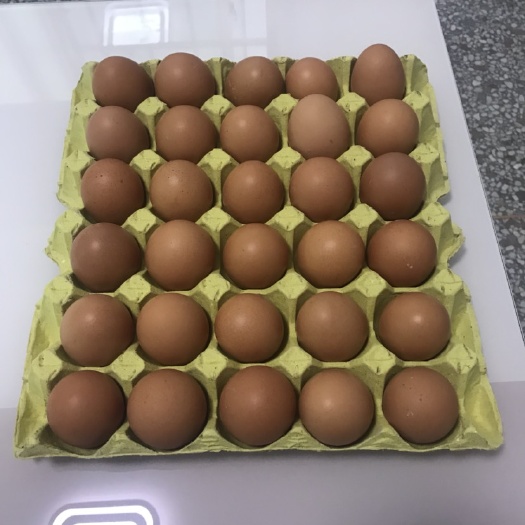 上海土鸡蛋 食用 礼盒装