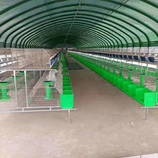 南皮县养殖大棚骨架  包塑养殖棚