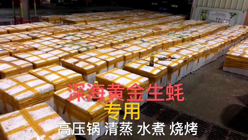 饶平县 广东带壳牡蛎 生蚝 烧烤摊生蚝批发零售带壳生蚝