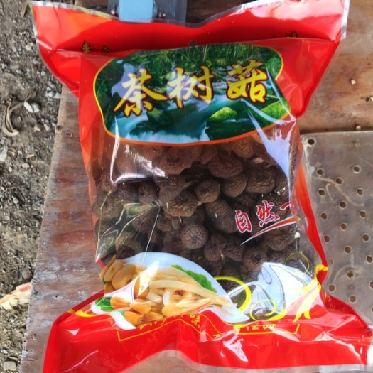 南平广昌5号茶树菇 精品自产自销