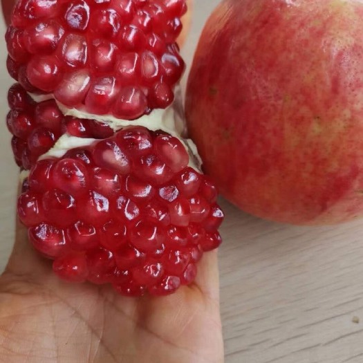蒙自市 蒙自光颜石榴