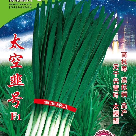 象州县韭菜种子  高产的太空韭菜