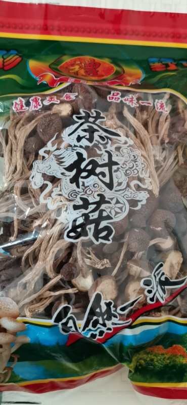 建宁县普通茶树菇 茶树菇自己家种的
