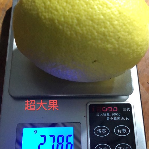 芒市尤力克柠檬  尤力克 柠檬
