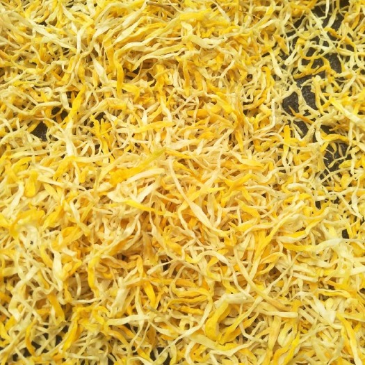 祁东县猛子花  新货上市热销精品黄条菜产地直供一手货源质优价廉