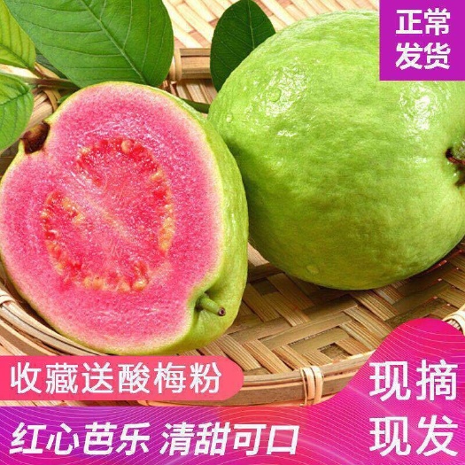北流市【坏果包赔】广西番石榴红心芭乐当季新鲜水果1斤3斤5斤
