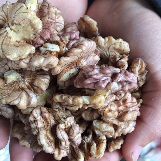 昆明 云南紫皮核桃仁