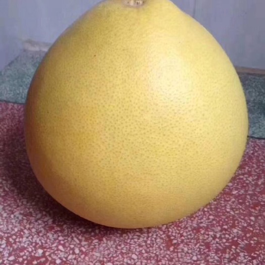 梅州红肉蜜柚 红肉柚