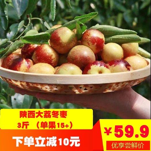 广州大荔冬枣 冬枣新鲜水果现货3斤大荔枣子红枣当季现摘整箱包邮特大脆甜青枣