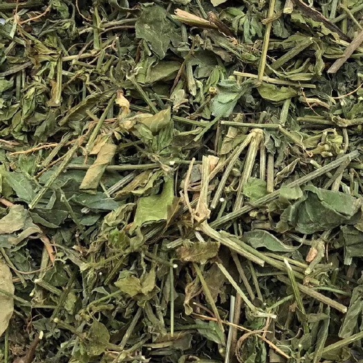 长期供应｛狗肝菜｝可批量可零售量大从优【包邮】