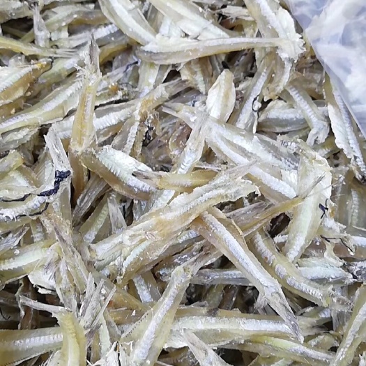 合浦县小鱼干 银鱼干