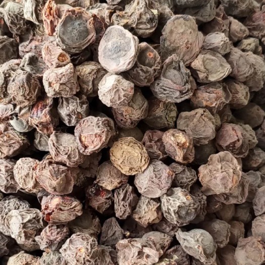 玉林长期供应｛乌梅｝可批量可零售量大从优【包邮】