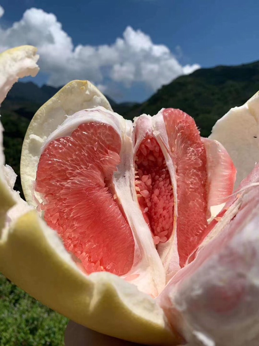 红心柚  三红蜜柚产地直供  质量有保障  广东省内包邮