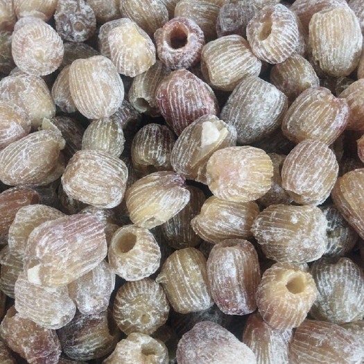 沧县无核金丝干蜜枣沧州特产5斤包邮枣新货