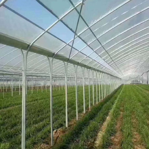 沭阳县大棚管 厂家直销大棚骨架